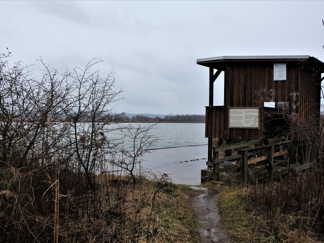 Europäisches Vogelreservat Heerter See-萨尔茨基特必去景点