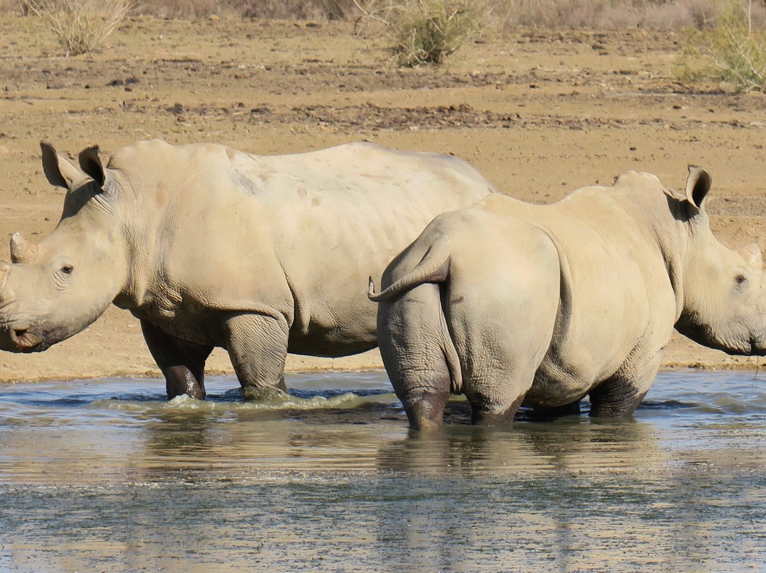 Burgsdorf Guest Farm主图