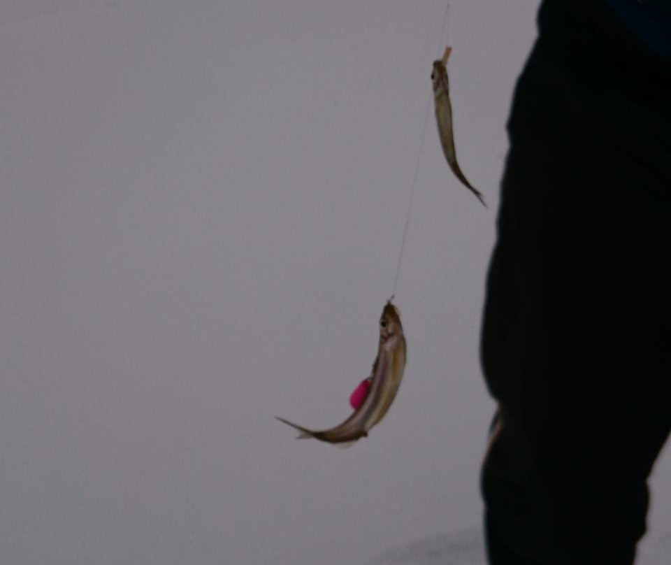 Lake Gando-盛冈市必去景点