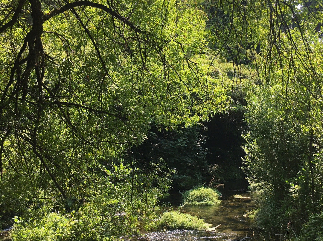 Maraetotara Falls-Havelock North必去景点