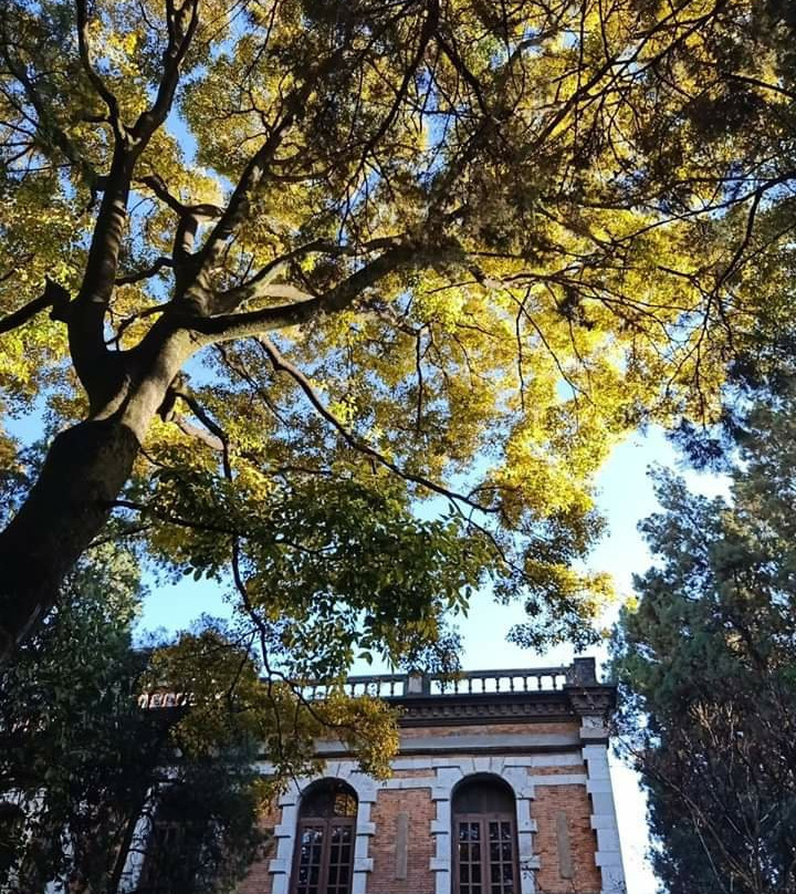 云南大学景点图片