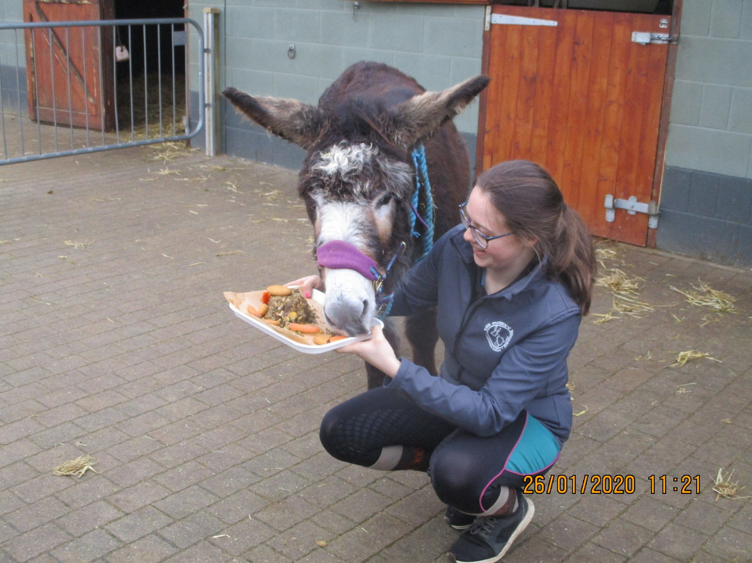 The Wonkey Donkey Visitors Centre景点图片