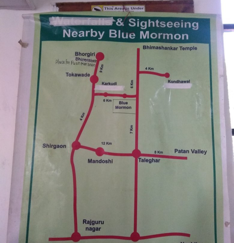 Blue Mormon Jungle Holiday Resort主图