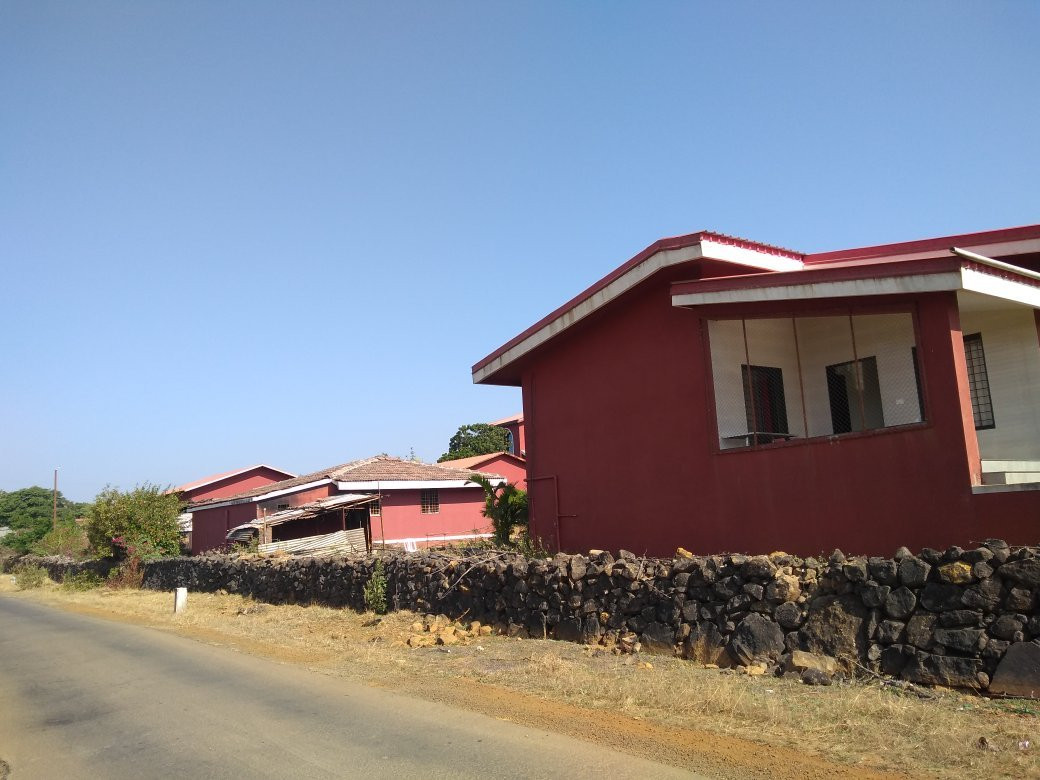 Blue Mormon Jungle Holiday Resort主图