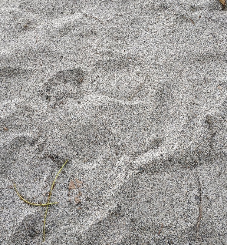 Mandiri Beach-Balai Kencana必去景点