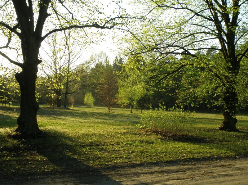 Muzeum im. Anny i Jarosława Iwaszkiewiczów景点图片