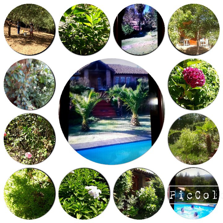 Las Juntas旅游攻略图片