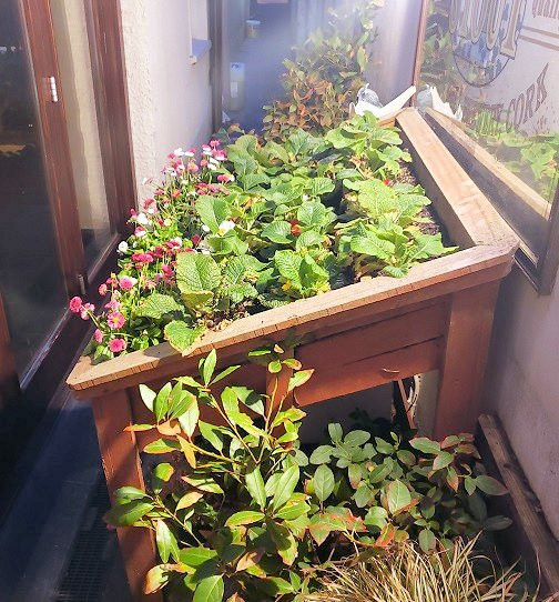 McMunn's of Ballybunion主图