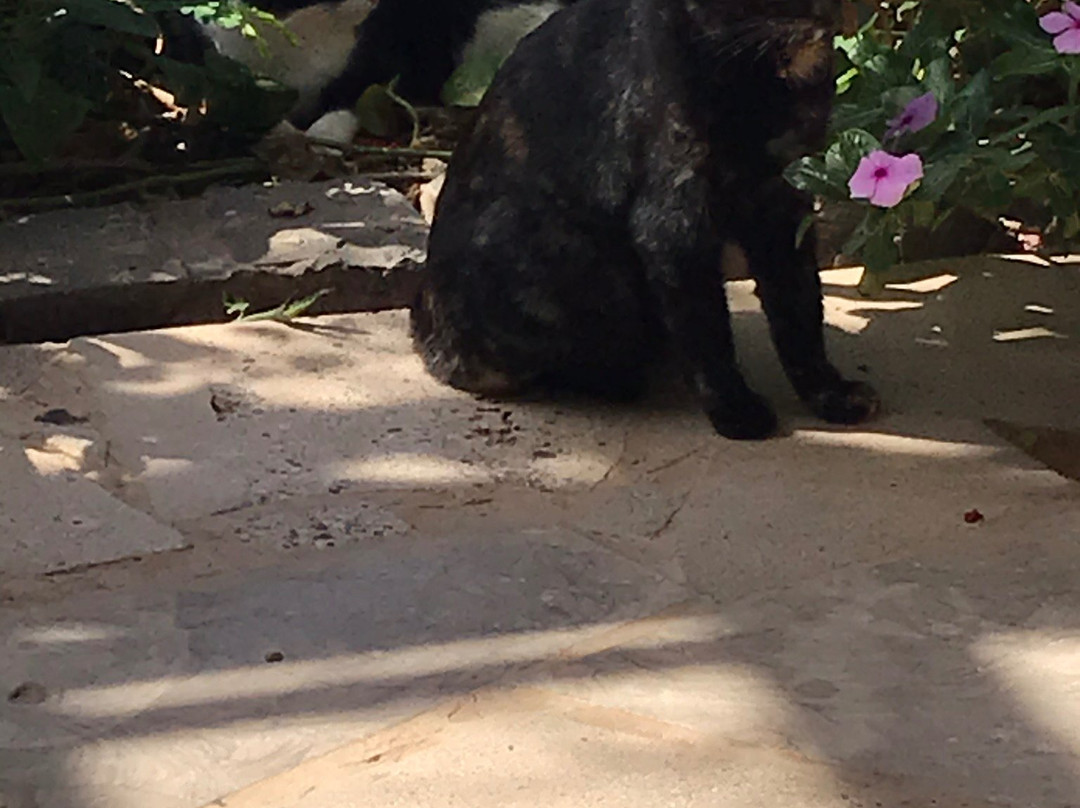 Odjo D'agua Hotel主图