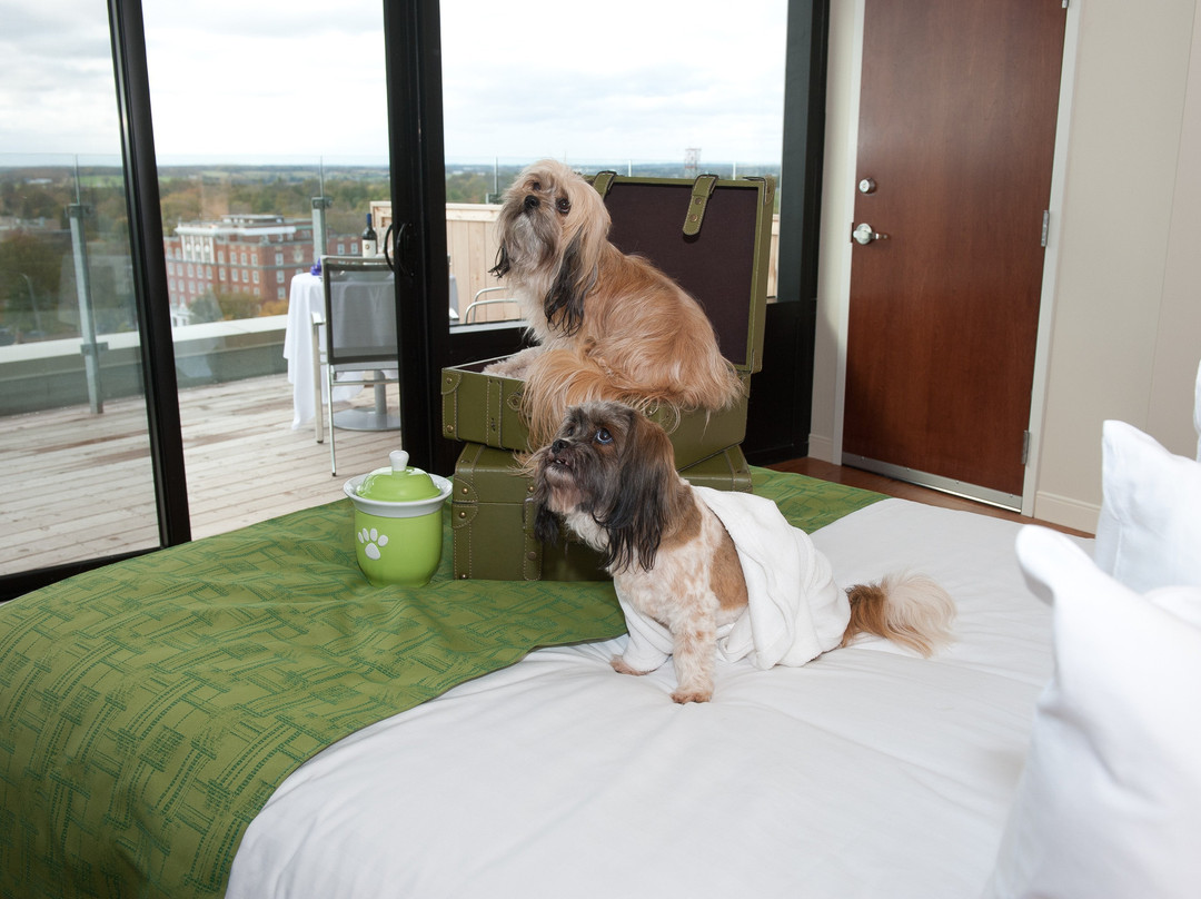 霍尔曼大酒店主图