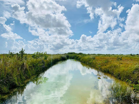 Authentic Tours Tulum-图伦必去景点