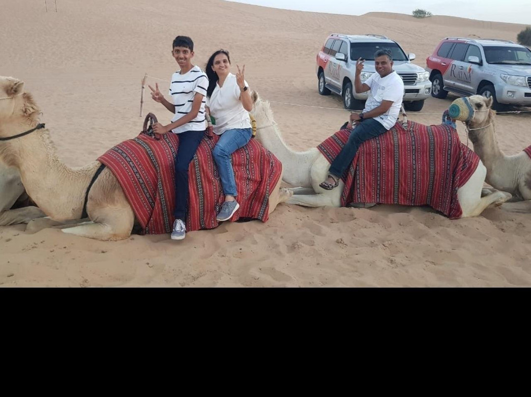 Tours & Trusted Transportation in UAE ( Airport Transfers, 1 way, 2 way, half Day, Full Day Private Vehicle-迪拜必去景点