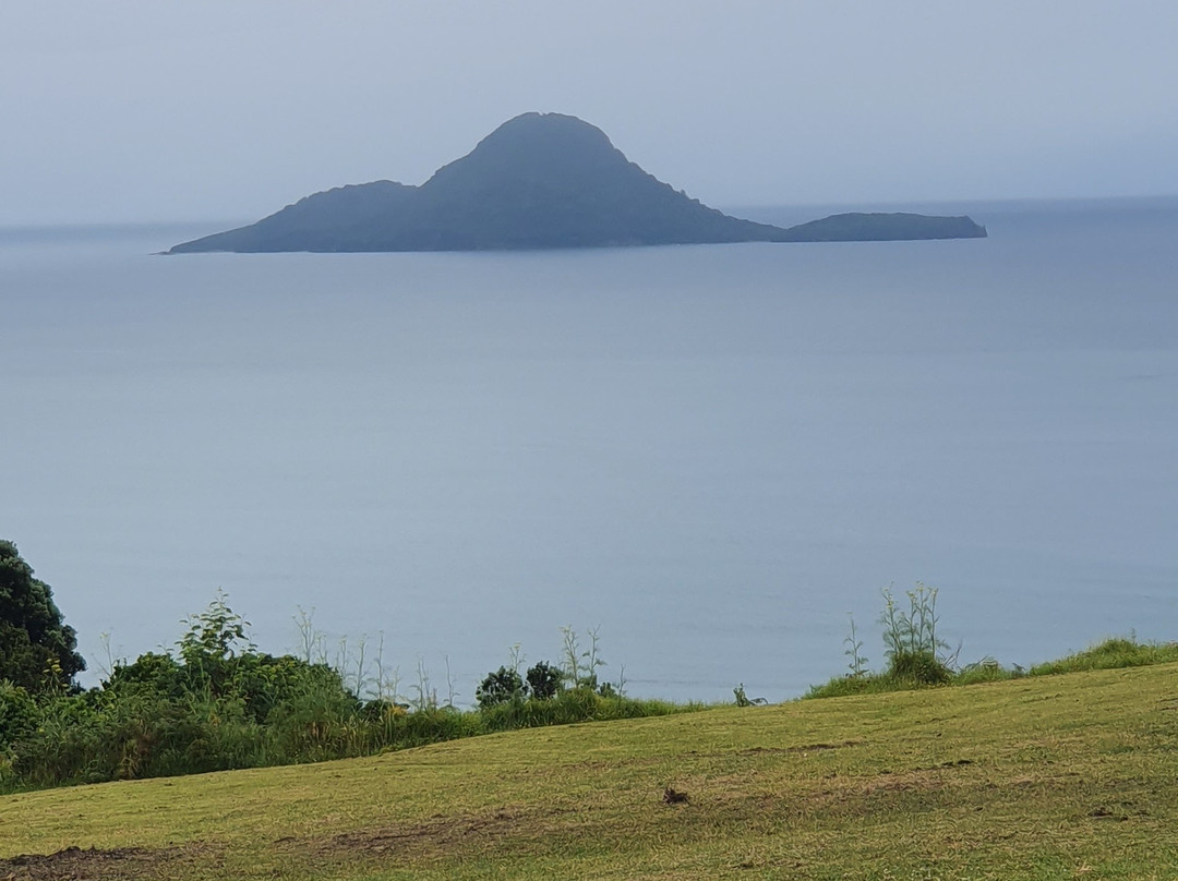 Kohi Point Lookout景点图片