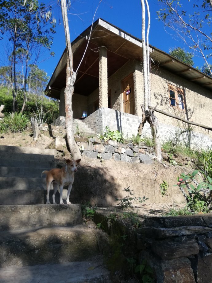 Dew Drop Resort-官方