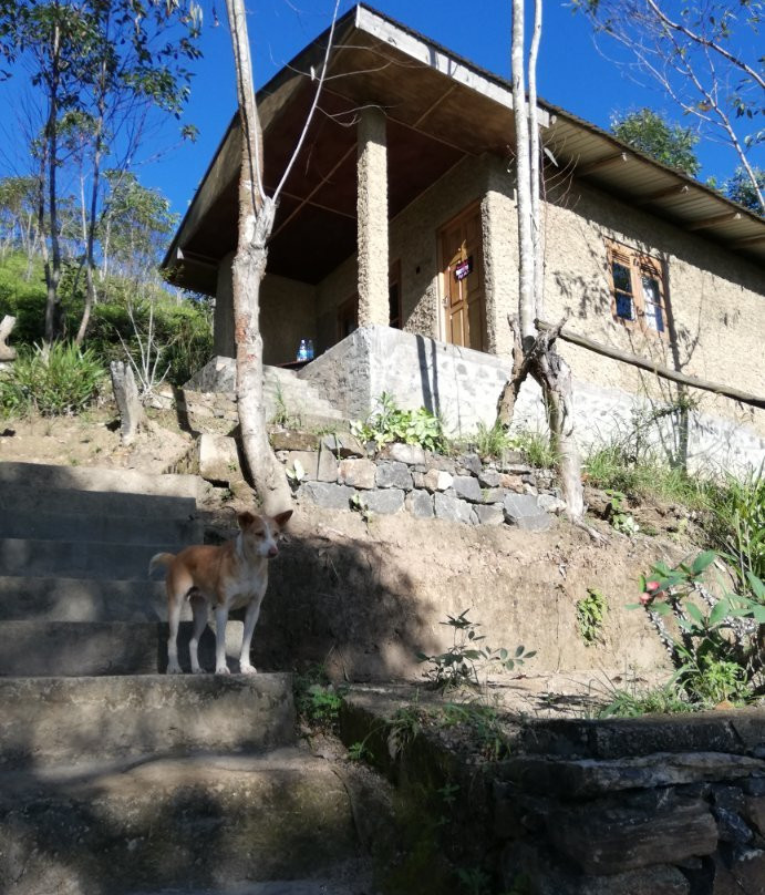 Dew Drop Resort主图