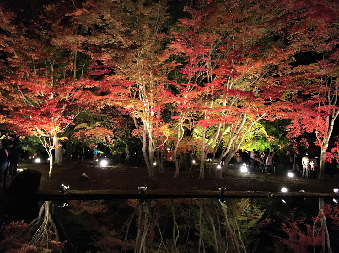 Sogi Park-土岐市必去景点