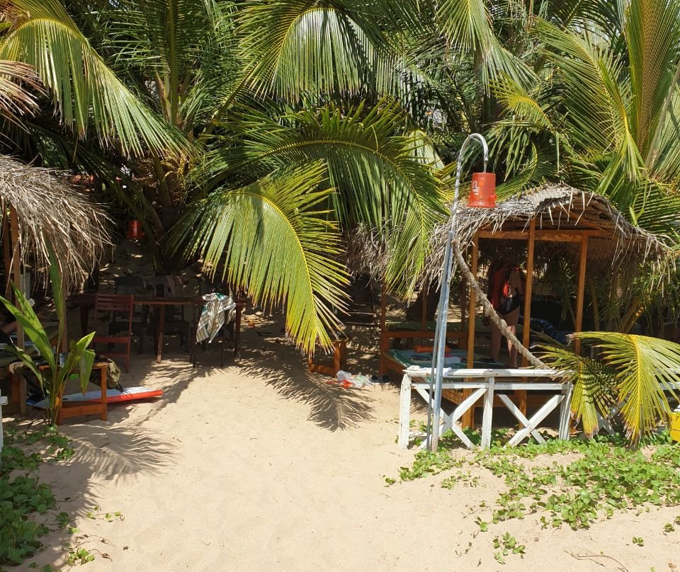 Blue Horizon Hotel主图