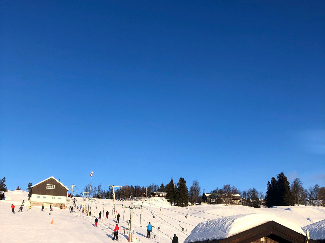 Geilo Skiskole - Slaatta景点图片
