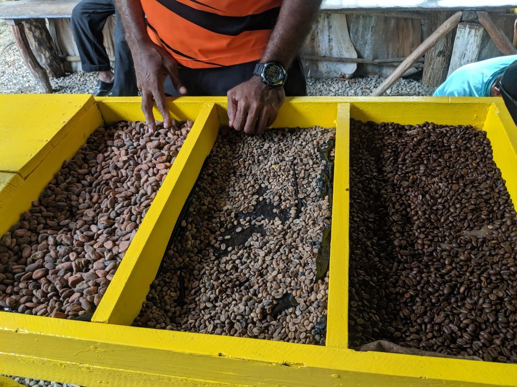 Outback Adventures-普拉塔港必去景点