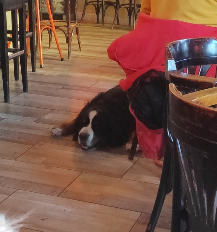 LEILA Records-贝尔格莱德必去景点