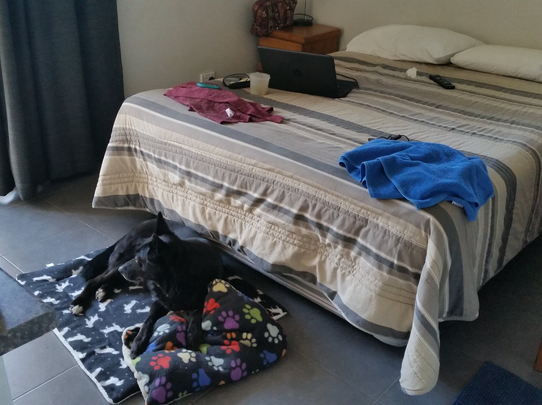 特维德河汽车旅馆主图