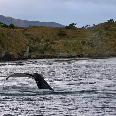 Cabo Froward-蓬塔阿雷纳斯必去景点
