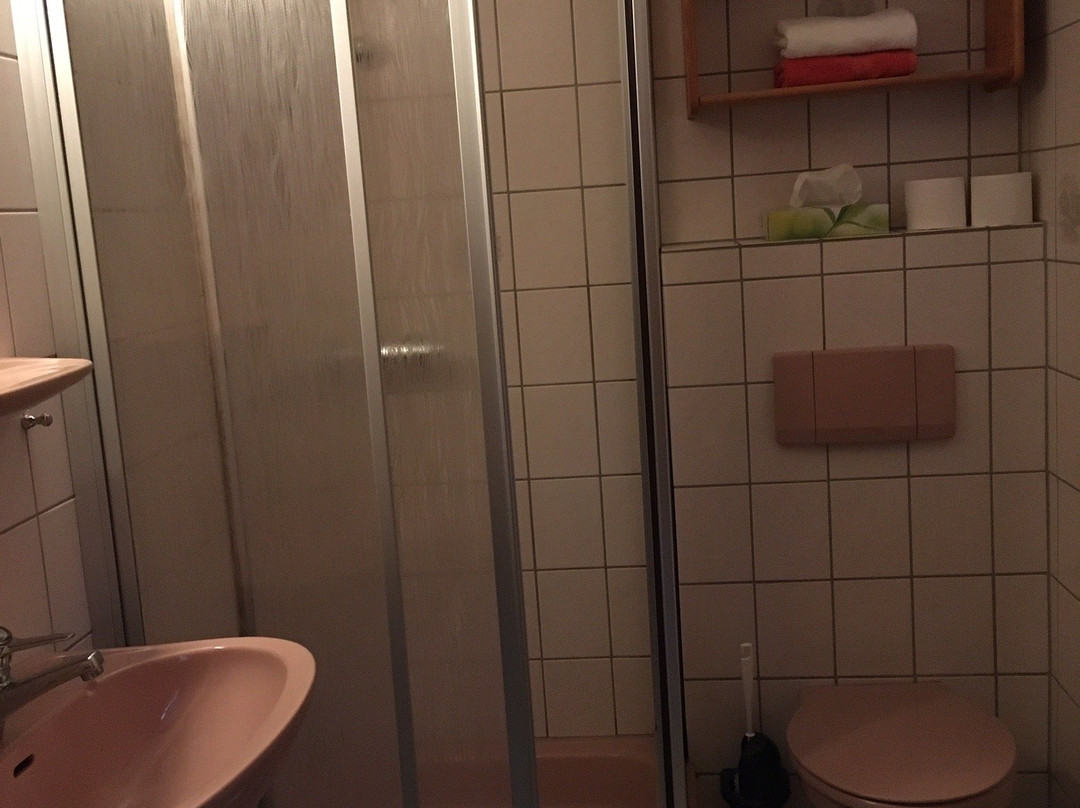 Landhotel Alte Aue主图