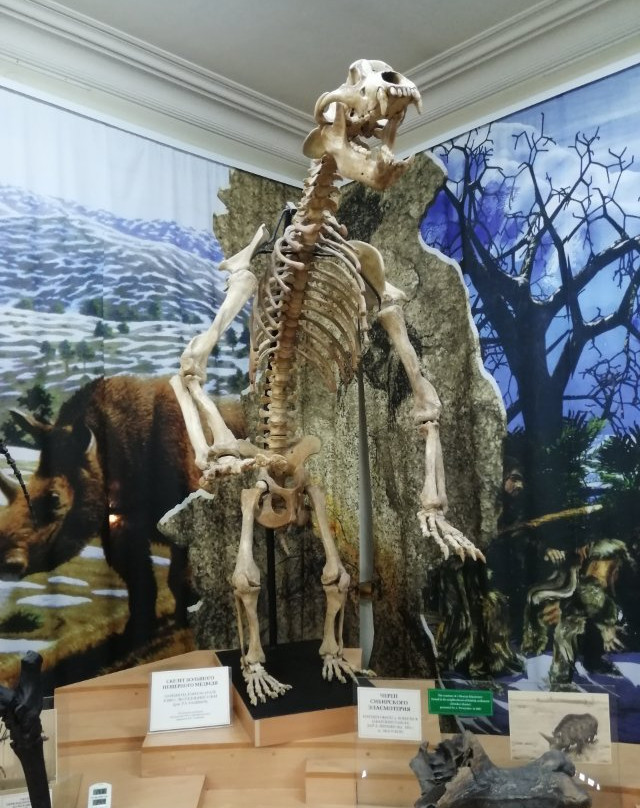 City Council Local History Museum-秋明必去景点