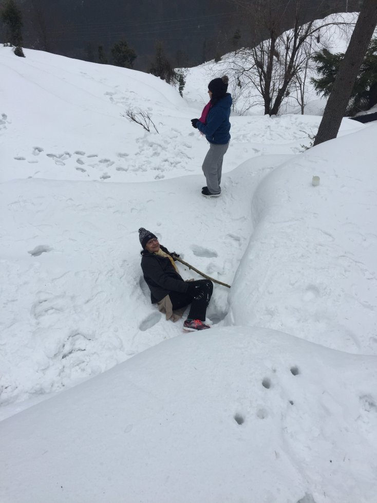 Aamod at Dalhousie-官方