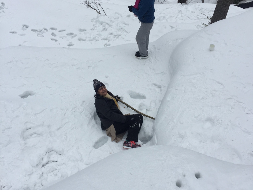 Aamod at Dalhousie主图