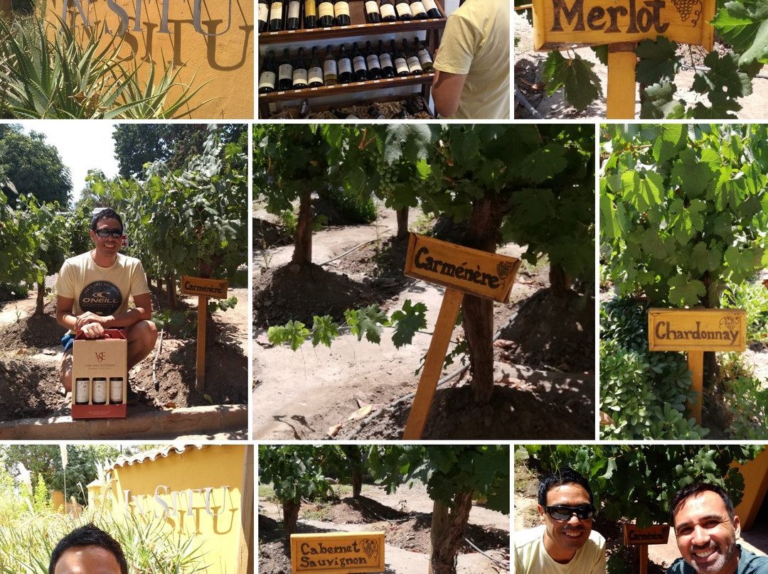 In Situ Family Vineyars-Los Andes必去景点