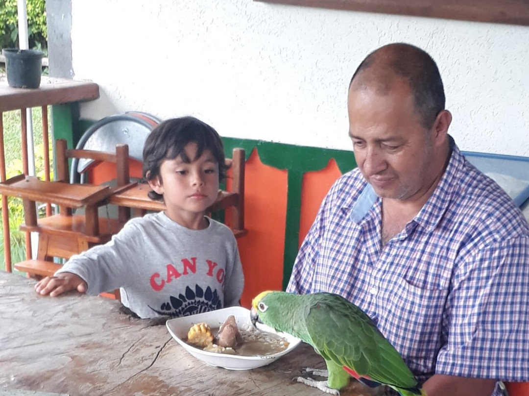 Finca Hotel El Manantial主图