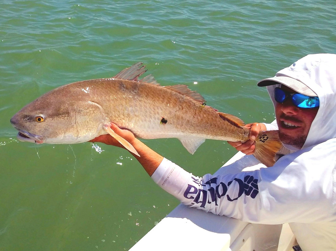Ten Thousand Islands National Wildlife Refuge-那不勒斯必去景点