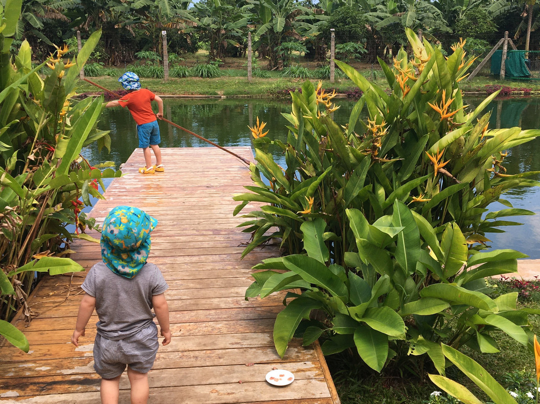 Thinnai Organic Farm主图