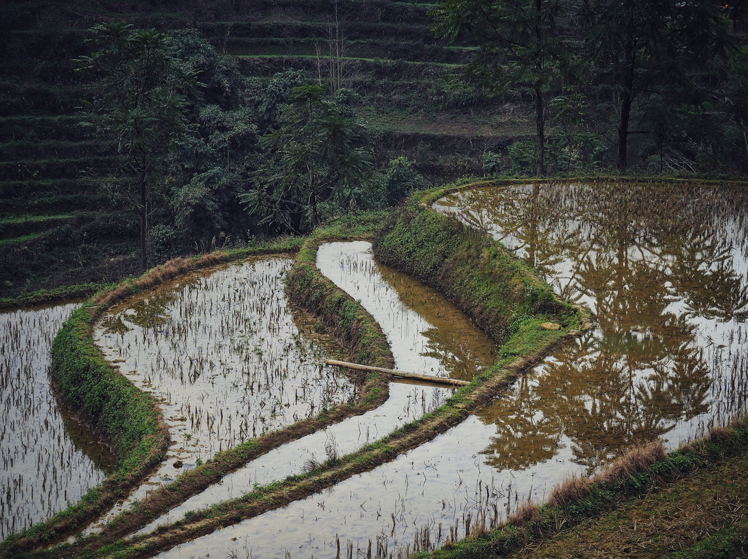 Bac Ha Trekking Tour景点图片