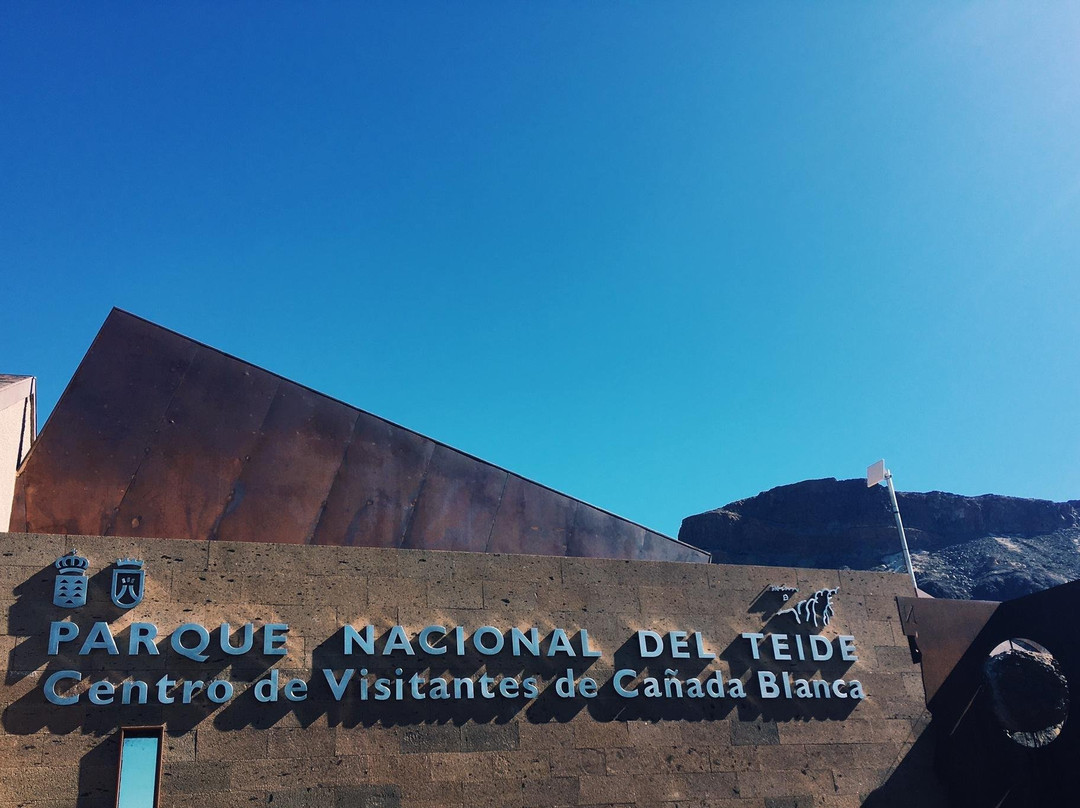 Buggy Quad Tenerife-美洲海滩必去景点