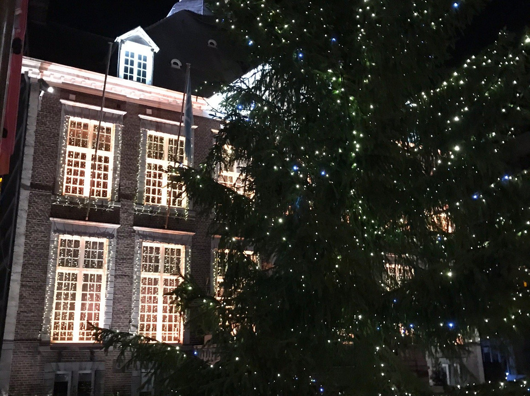Stadhuis Hasselt景点图片