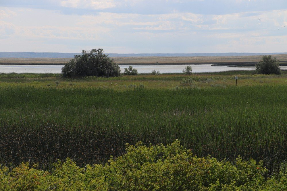 Bowdoin National Wildlife Refuge-Malta必去景点