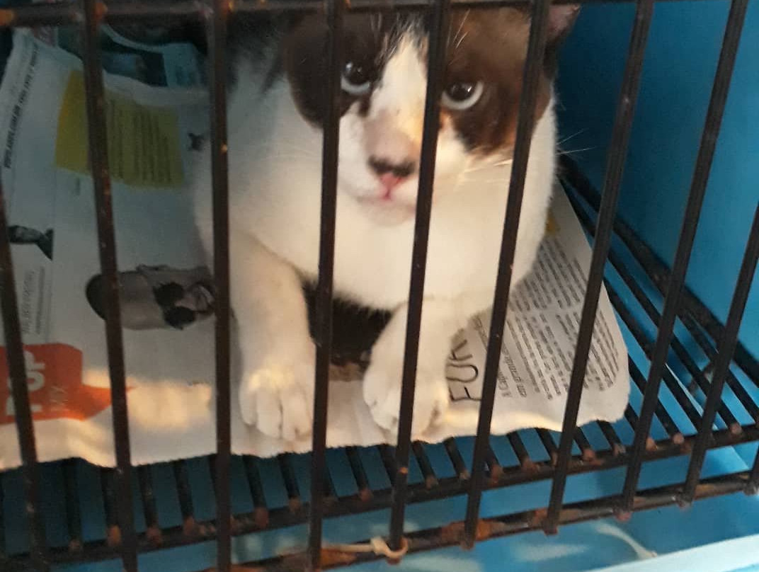 Praça Luíza Távora-福塔莱萨必去景点