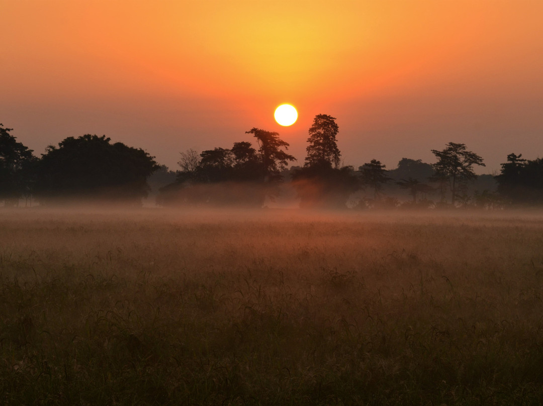 Ygdrasill Bamboo Cottage主图