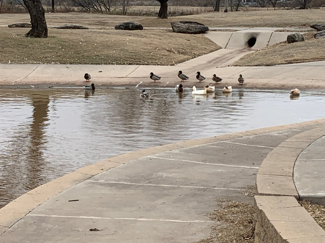 Weeks Park景点图片