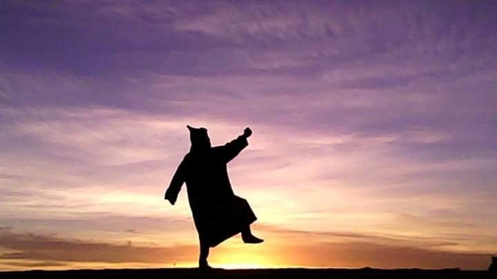 Wilderness Lodge Tours主图