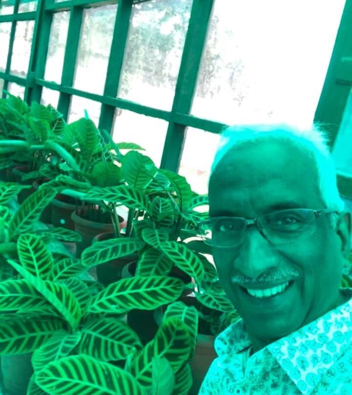 Anna Park-亚尔考德必去景点