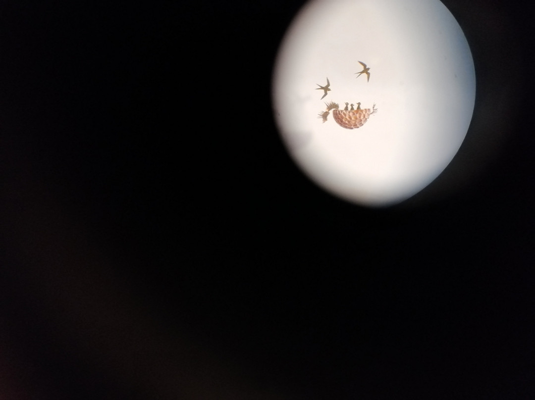 Museo De La Miniatura De Ordino-Ordino必去景点