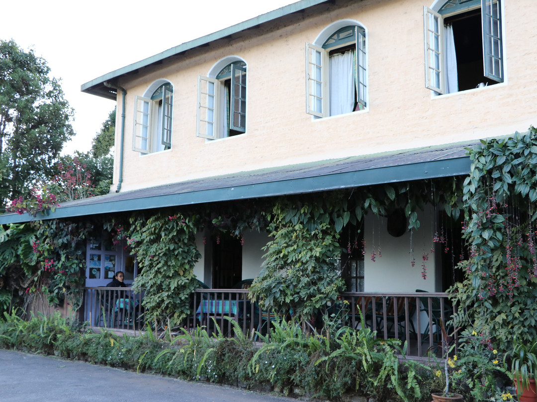 Sterling Park Kalimpong主图