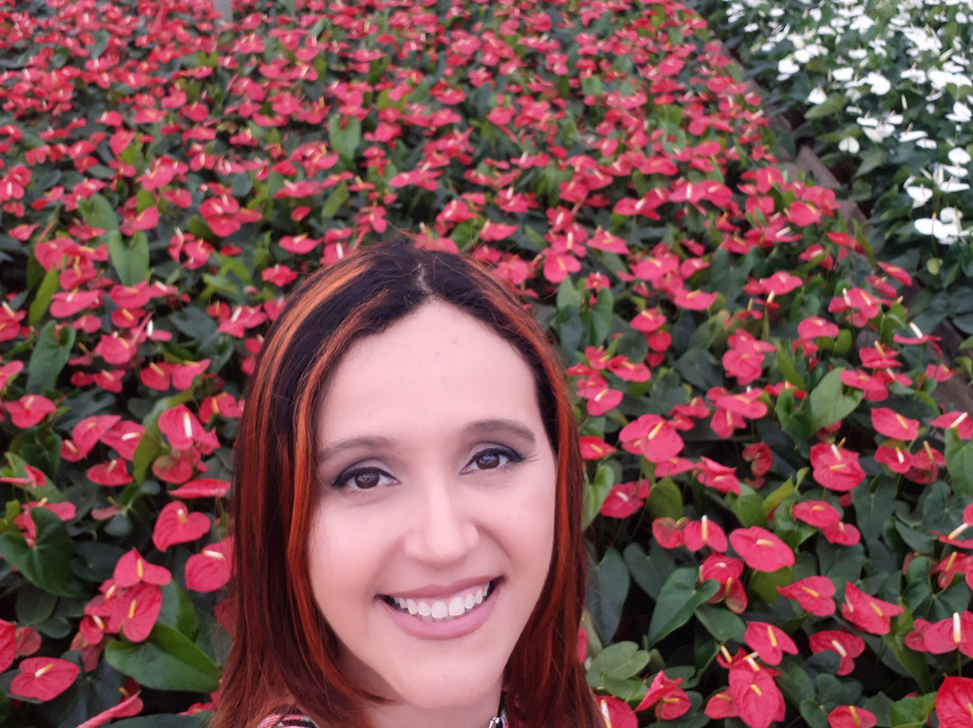 Theos Passeio Turistico-Holambra必去景点