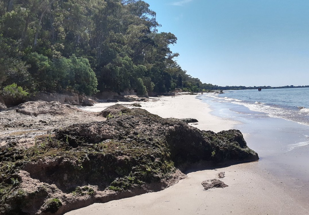Playa Santa Ana景点图片