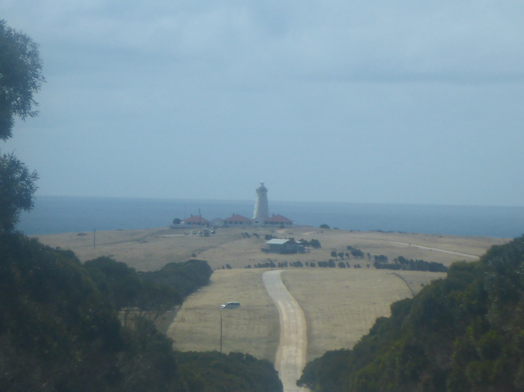 Cape Willoughby Lighthouse景点图片