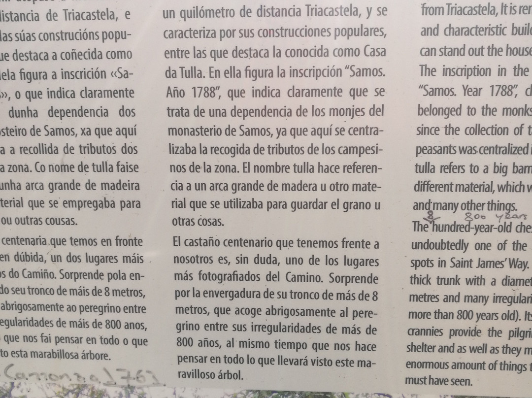 Castineiro Milenario-Begonte必去景点