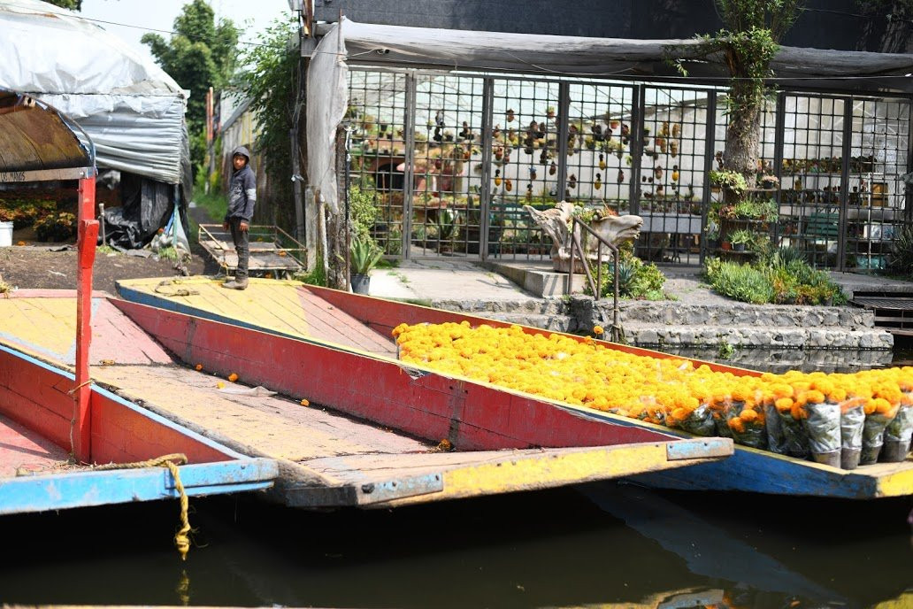 Floating Gardens of Xochimilco景点图片